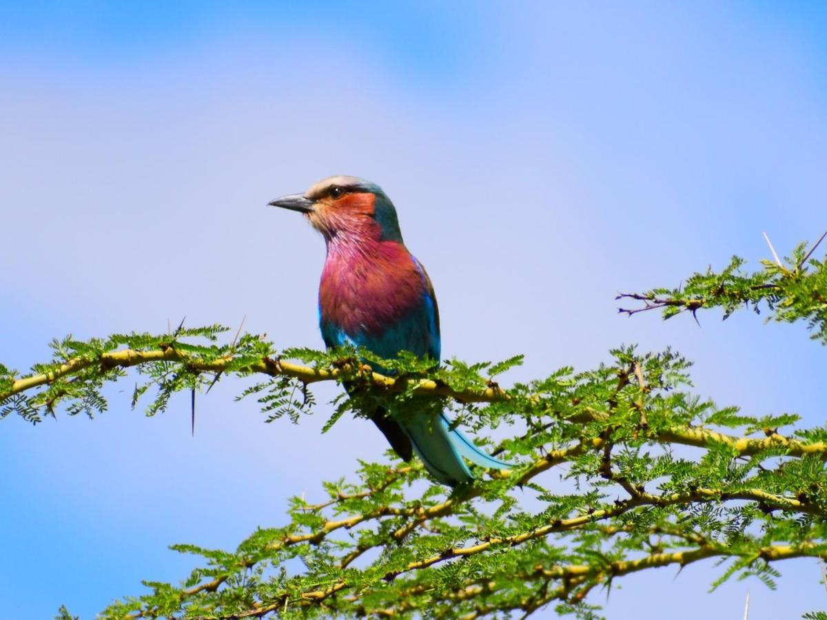Lake Elmenteita Serena Camp 外观 照片
