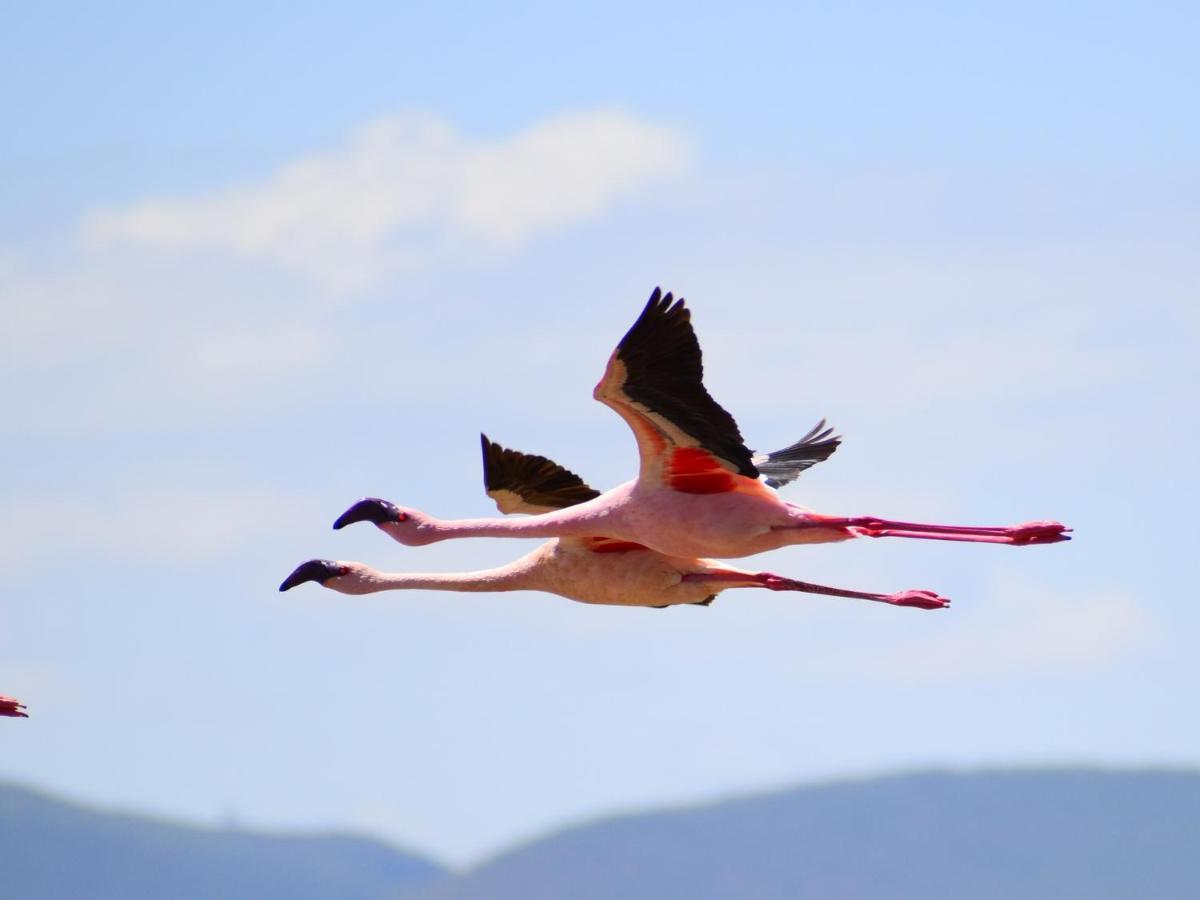 Lake Elmenteita Serena Camp 外观 照片