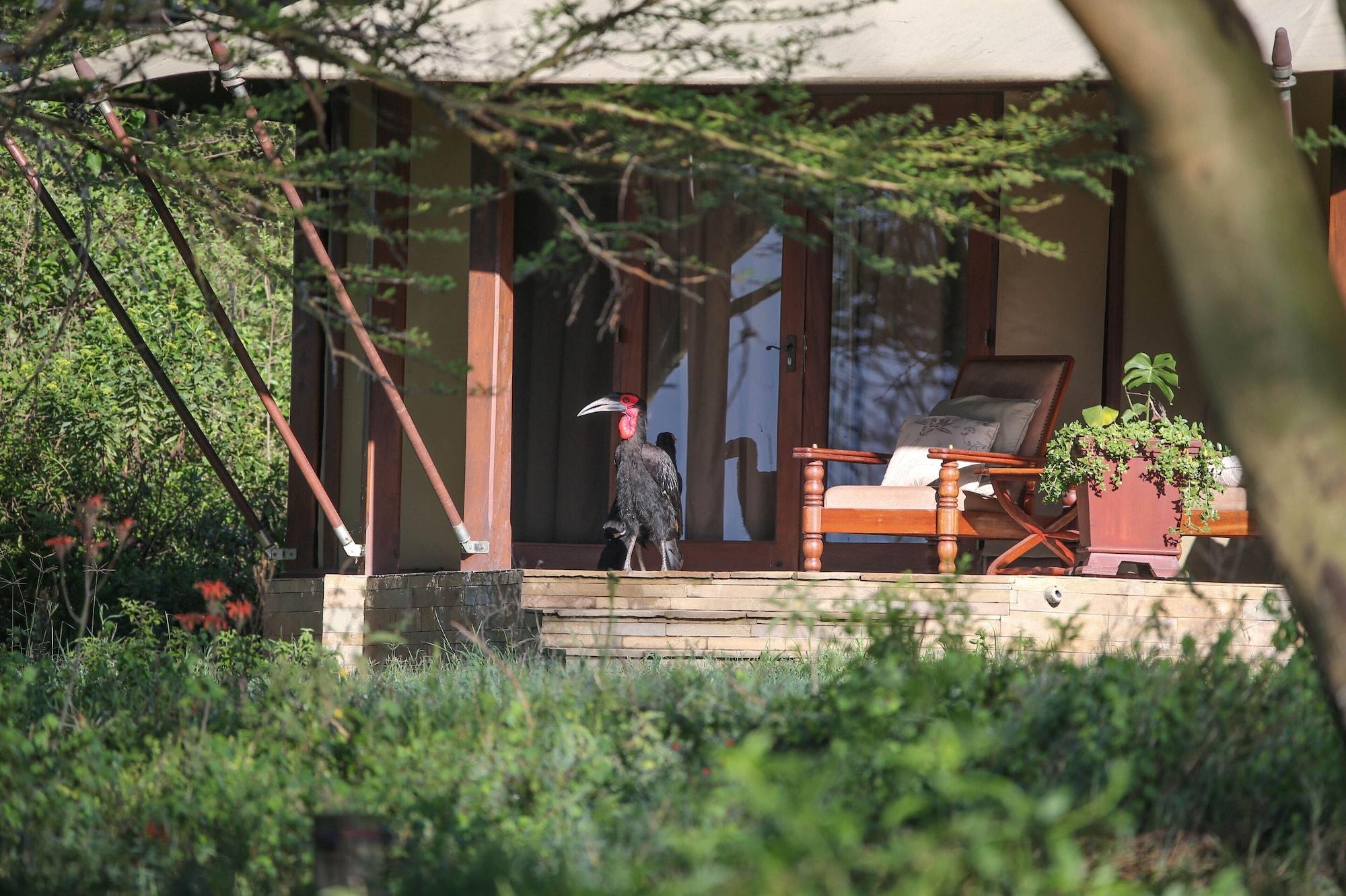 Lake Elmenteita Serena Camp 外观 照片